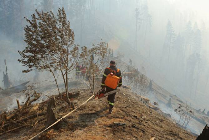 Крупный лесной пожар в Грузии 