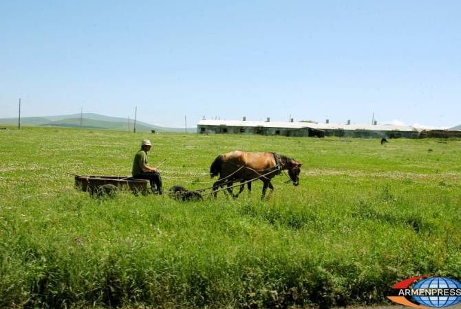 ԱԺ-ն հավանություն տվեց գյուղատնտեսական նշանակության հողամասերի 
կառավարման մասին գործադիրի նախագծին