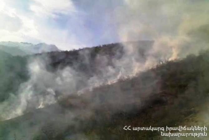 В Капане сгорело около 1.5 га  растительности