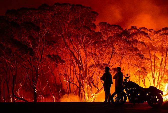  Сумма пожертвований на борьбу с пожарами в Австралии превысила $130 млн 