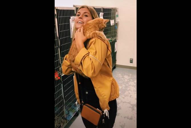 Девушка пришла в приют выбрать кошку, но выбор сделали за нее –  видео