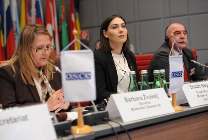 Deputy justice minister presents Armenia’s achievements in anti-corruption fight at OSCE Forum