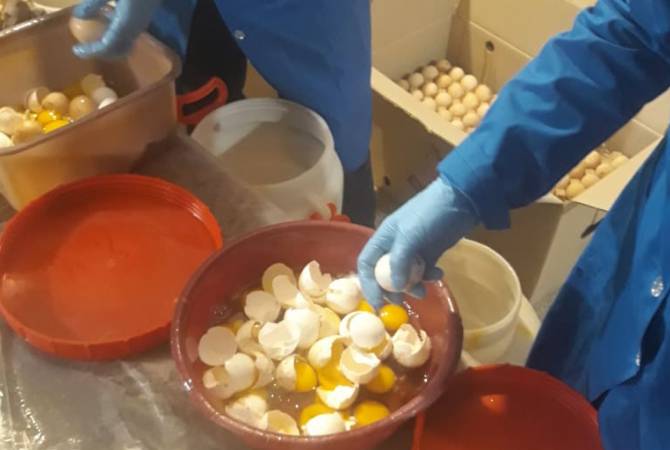 Инспекционный орган по безопасности пищевых продуктов уничтожил 54000 
просроченных яиц