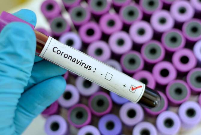 No coronavirus cases in Artsakh so far, officials say 