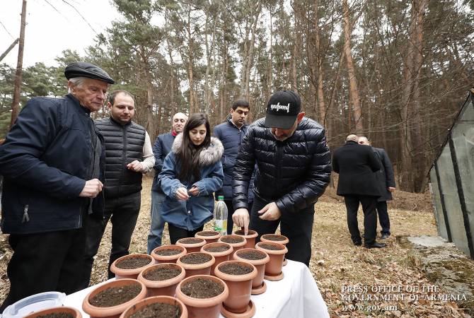 رئيس الوزراء نيكول باشينيان يشترك بزراعة بذور الأرز ضمن حملة زرع 10 مليون شجرة بأرمينيا