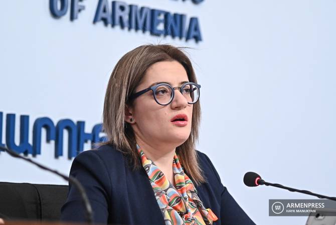 Armenia discusses various assistance opportunities for microenterprises