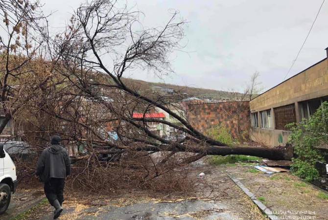  Ветром обрушило сухие деревья в административном округе Кентрон
 
