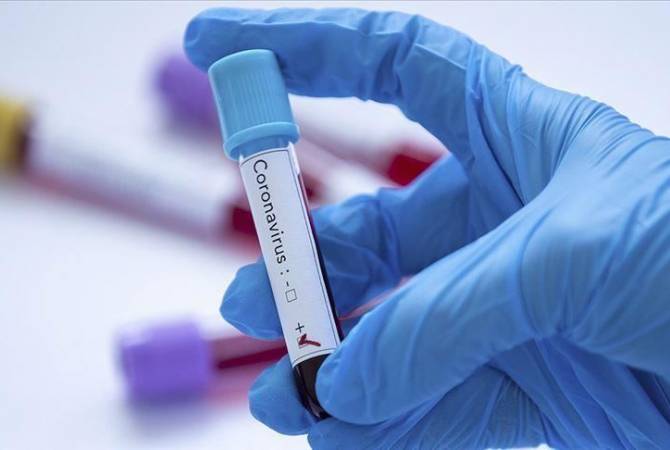 Число подтвержденных случаев заражения коронавирусом в Арцахе достигло 7

