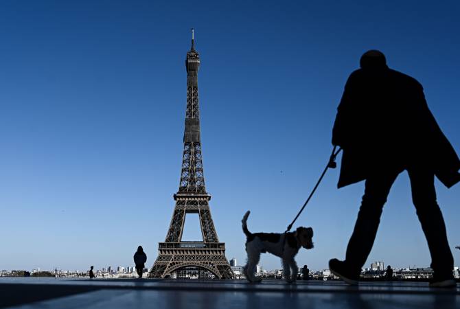 Ֆրանսիայում շներին սովորեցնում են գտնել կորոնավիրուսով հիվանդներին

