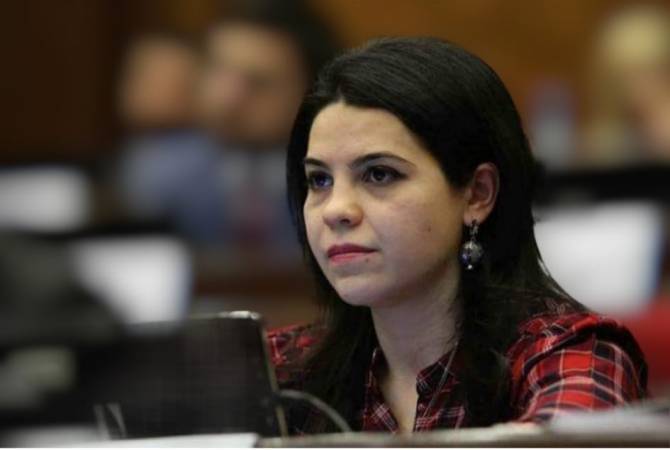  Депутат отметила достижения армянской стороны в вопросе Арцаха при действующей 
власти

 