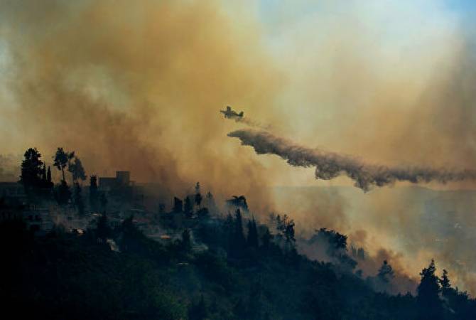  В предместьях Иерусалима из-за лесных пожаров эвакуировали жителей 