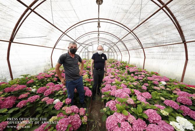 Премьер ознакомился в Азатаване с ходом работы теплицы по выращиванию цветов
