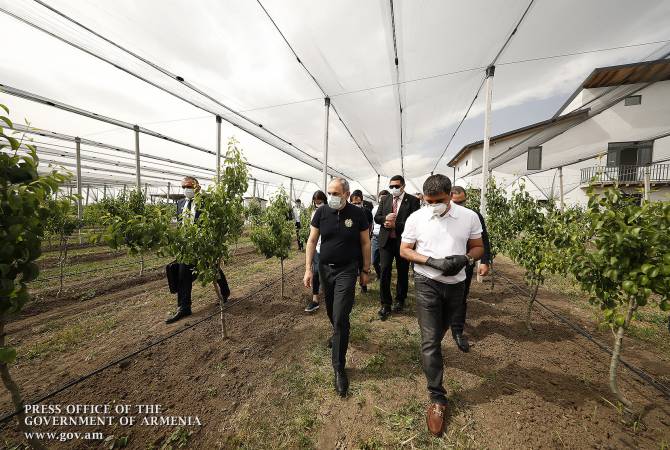 Премьер-министр в Араратской области ознакомился  с  ходом  программ по созданию 
интенсивных садов
