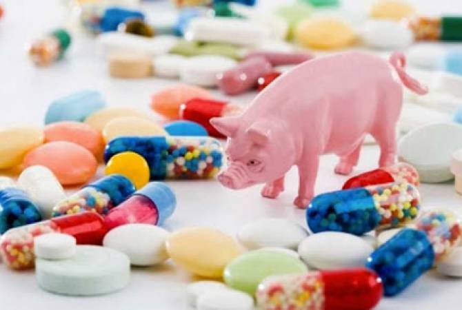 Парламент обсуждает законопроект, исключающий применение антибиотиков в кормах 
животных

