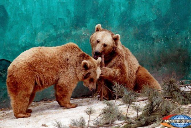 Ереванский зоопарк 1 июня  будет закрыт 
