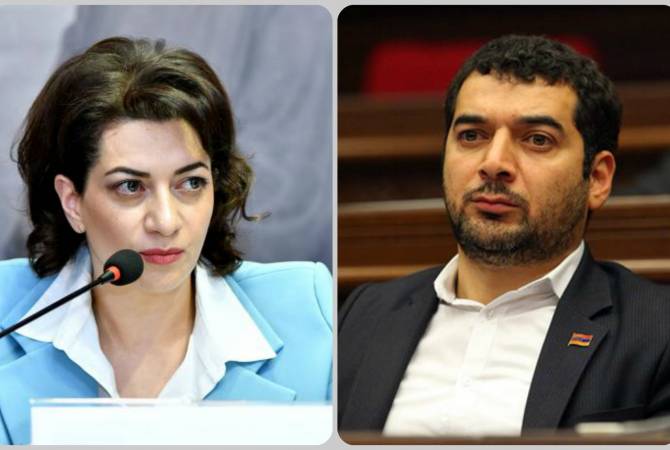 Анна Акопян и Грачья Акопян подали судебный иск против Микаела Минасяна
