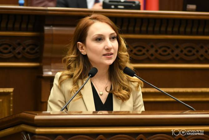 ‘Our country’s actions cause panic to Azerbaijani President’ – Armenian MP