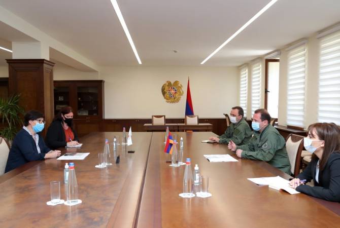 Defense minister receives head of ICRC delegation in Armenia