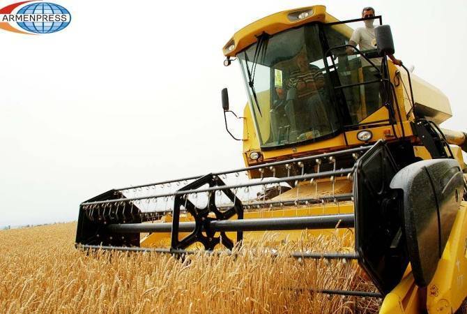 Մեկնարկում է Հայաստանում աշնանացան ցորենի արտադրության խթանման 
պետական աջակցության ծրագիրը
