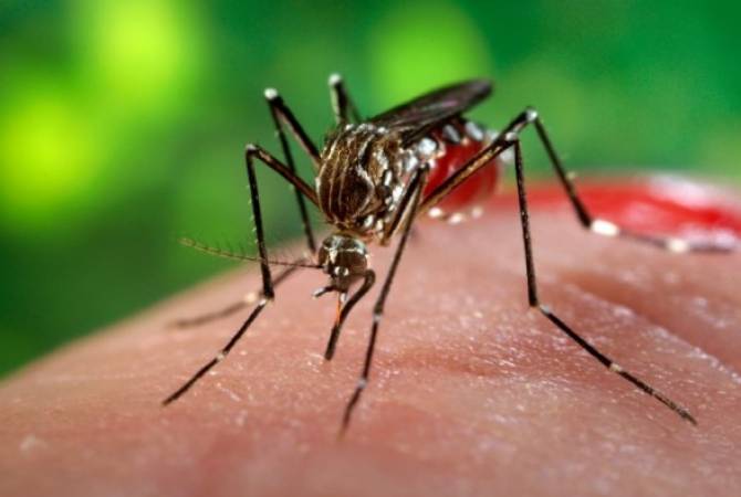 В Лаосе число заразившихся лихорадкой денге превысило 2,6 тысячи
