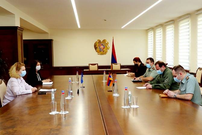 Armenian defense minister receives outgoing Head of CoE Office in Yerevan
