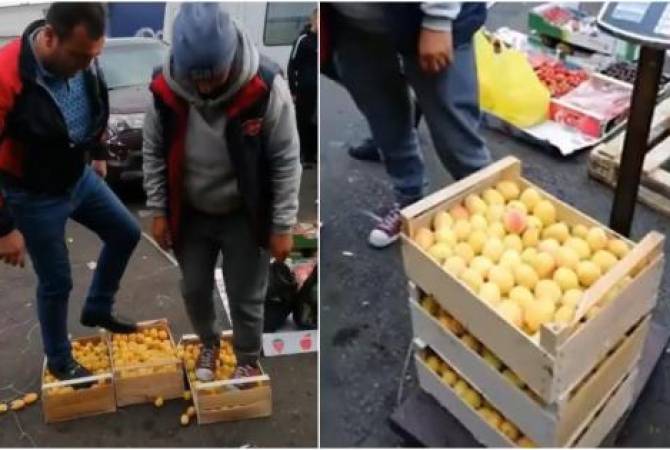  Максимум, что смогли: азербайджанцы купили на московском рынке абрикосы и начали их 
топтать 