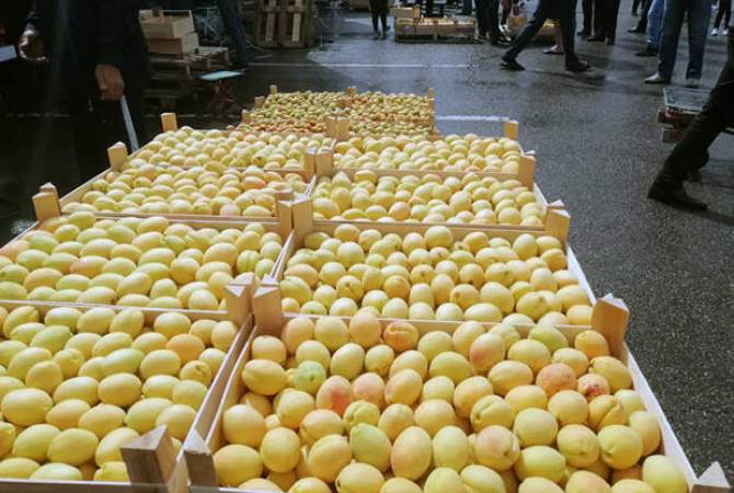 Armenia applies to EAEU colleagues over recent ban on sale of Armenian fruits in Russia
