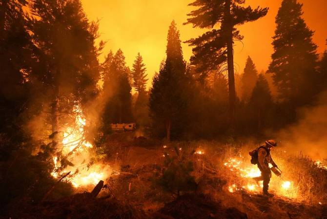 Площадь пожара на юге Калифорнии достигла почти 4 тыс. гектаров
