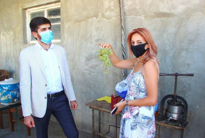 Арман Ходжоян  в Араратской области ознакомился с ходом заготовки винограда