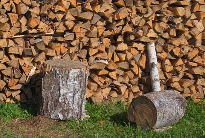  Отходы древесины будут предоставляться жителям: Разъяснение Министерства 
окружающей среды 