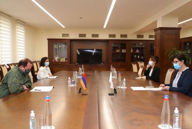 Minister Tonoyan expresses concern to ICRC over videos spread by Azerbaijani media on 
Armenian POW