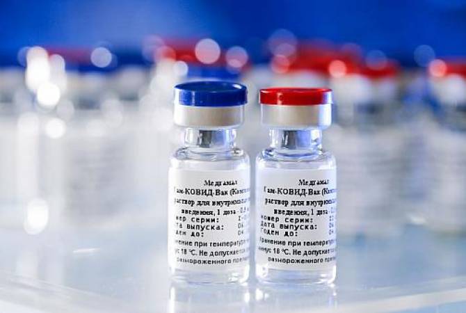 Гинцбург: новых нежелательных реакций на вакцину "Спутник V" не появилось
