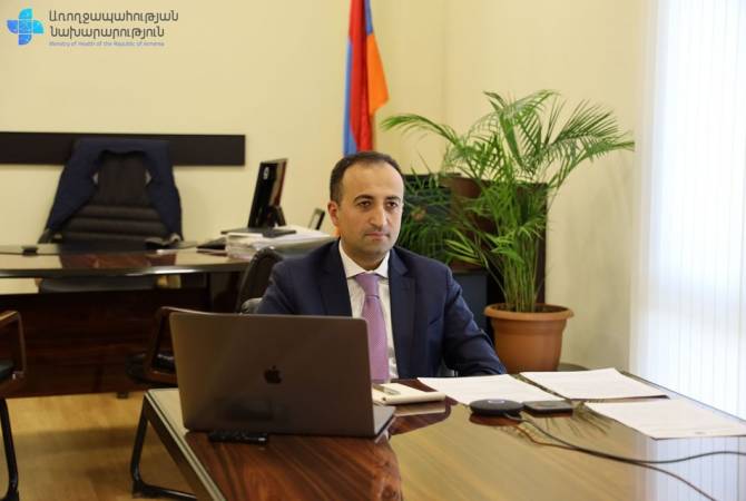 Арсен Торосян представил чиновнику ВОЗ ситуацию с COVID-19 в Армении
