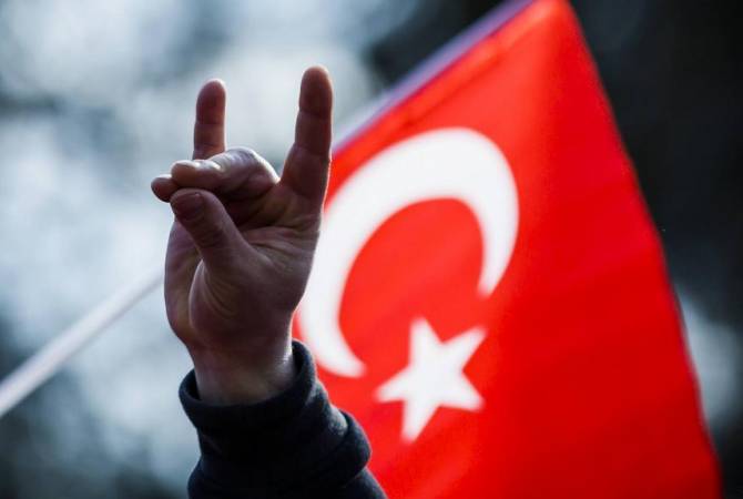 Во Франции запретят турецкую ультранационалистическую группировку «Серые волки»

