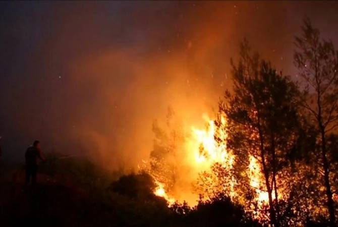 Azerbaijan sets on fire over 1815 hectares of forests in Artsakh