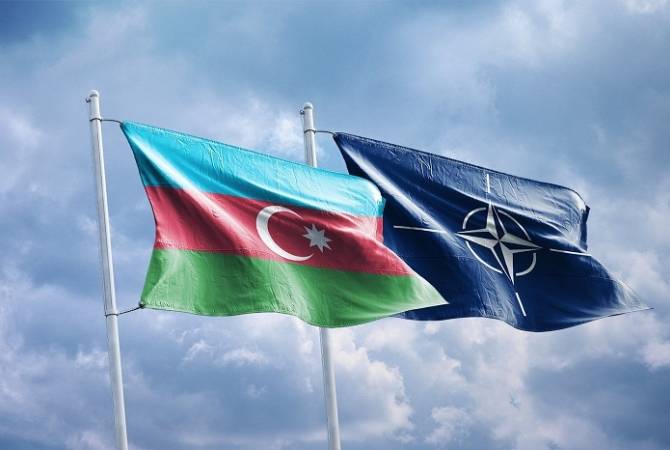 В Турции обсудили возможность членства Азербайджана в НАТО

