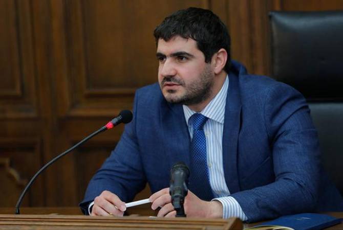 Депутат Арман Егоян коснулся иска о лишении Гагика Царукяна депутатского мандата

