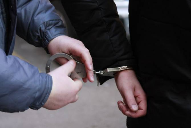 В Грузии задержали гражданина России с 7 кг наркотиков