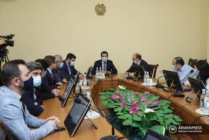 Armenian FM meets with members of parliamentary standing committee on foreign affairs