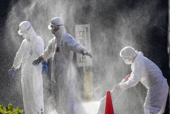 Вспышка птичьего гриппа в Японии стала самой масштабной за всю историю страны
