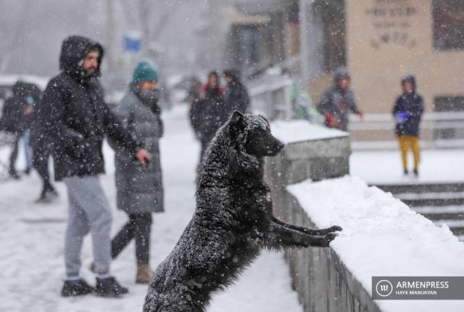  В ряде областей Армении ожидаются обильные снегопады

 