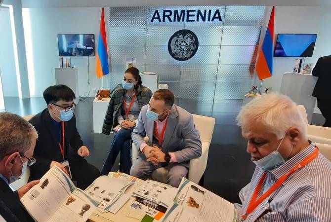 Armenian defense exhibits did not reach IDEX-2021 due to logistical problems 