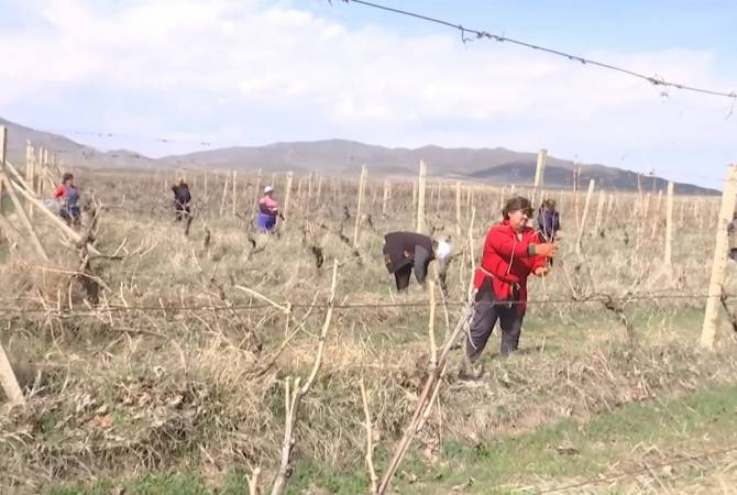 Ռուս խաղաղապահների աջակցությամբ Արցախում մեկնարկել են գյուղատնտեսական 
աշխատանքները
