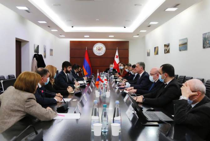 Հայաստանն ու Վրաստանը քննարկում են գյուղոլորտում համագործակցության 
հեռանկարները
