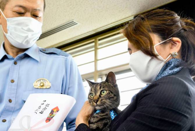 В Японии спасшую человека кошку на день назначили главой полицейского управления