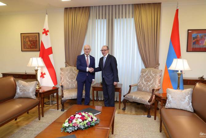 وزير خارجية أرمينيا بحكومة تصريف الأعمال آرا أيفازيان يستقبل نائب رئيس الوزراء الجورجي ووزير الخارجية 
ديفيد زلكالياني