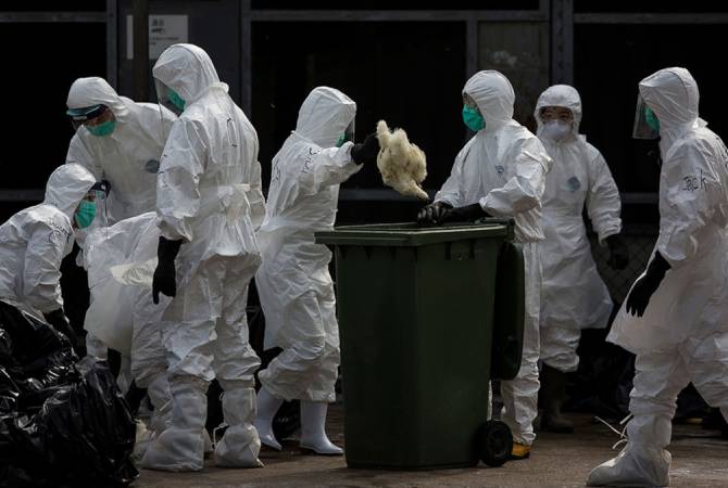  В Китае выявили случай заражения человека штаммом птичьего гриппа H10N3 