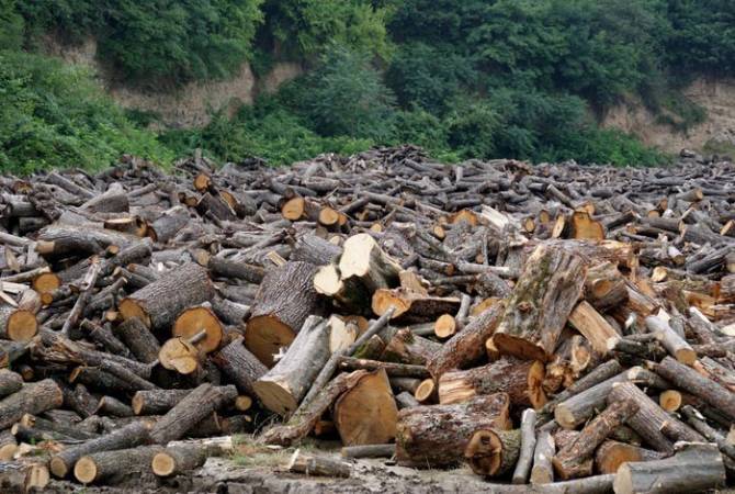 Լոռու մարզում անտառների պահպանության համար պատասխանատու 18 
պաշտոնատար անձի մեղադրանքներ են առաջադրվել

