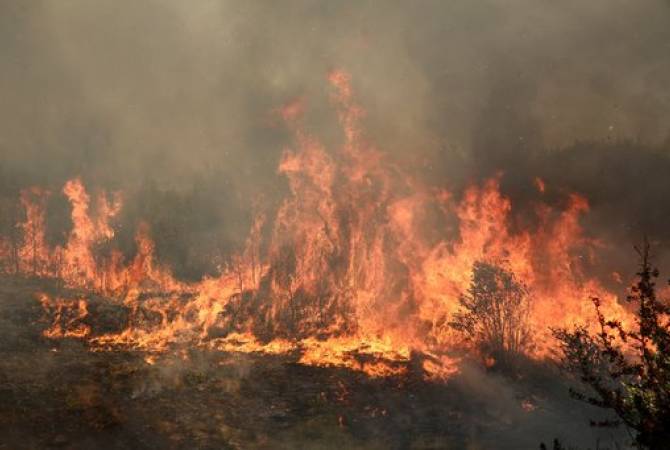 Հացավան գյուղի վերջնամասում այրվել է մոտ 15 հա բուսածածկույթ