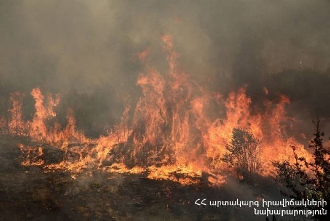 Զանգակատուն գյուղի սահմանամերձ տարածքում այրվել է 110 հա խոտածածկույթ
